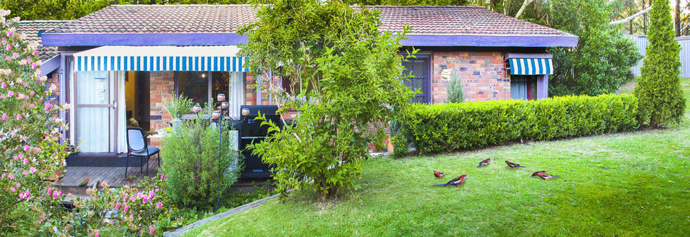 Crimson Villa Katoomba Extérieur photo