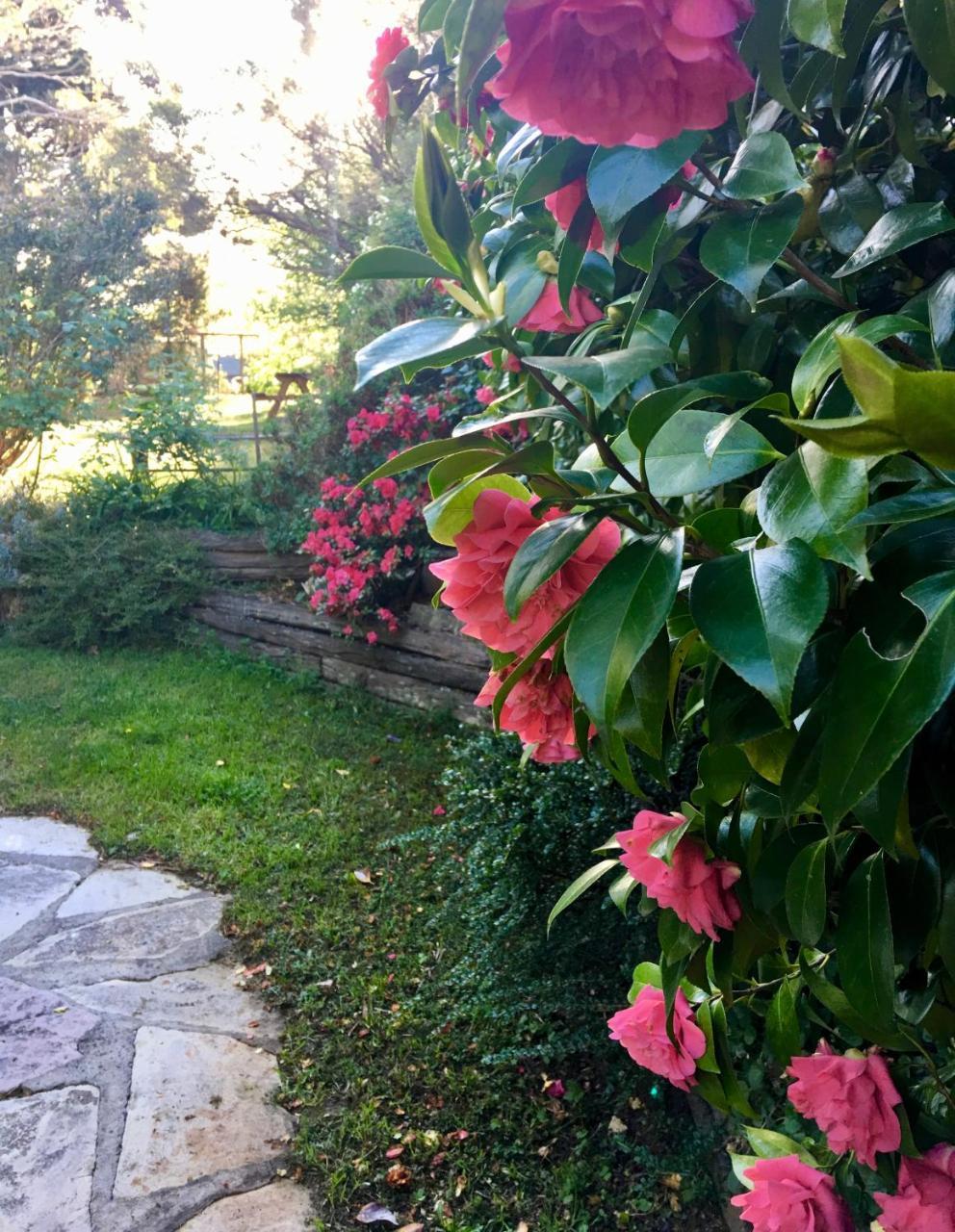 Crimson Villa Katoomba Extérieur photo